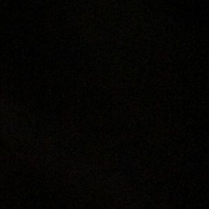 Meet your Posher, Brandi